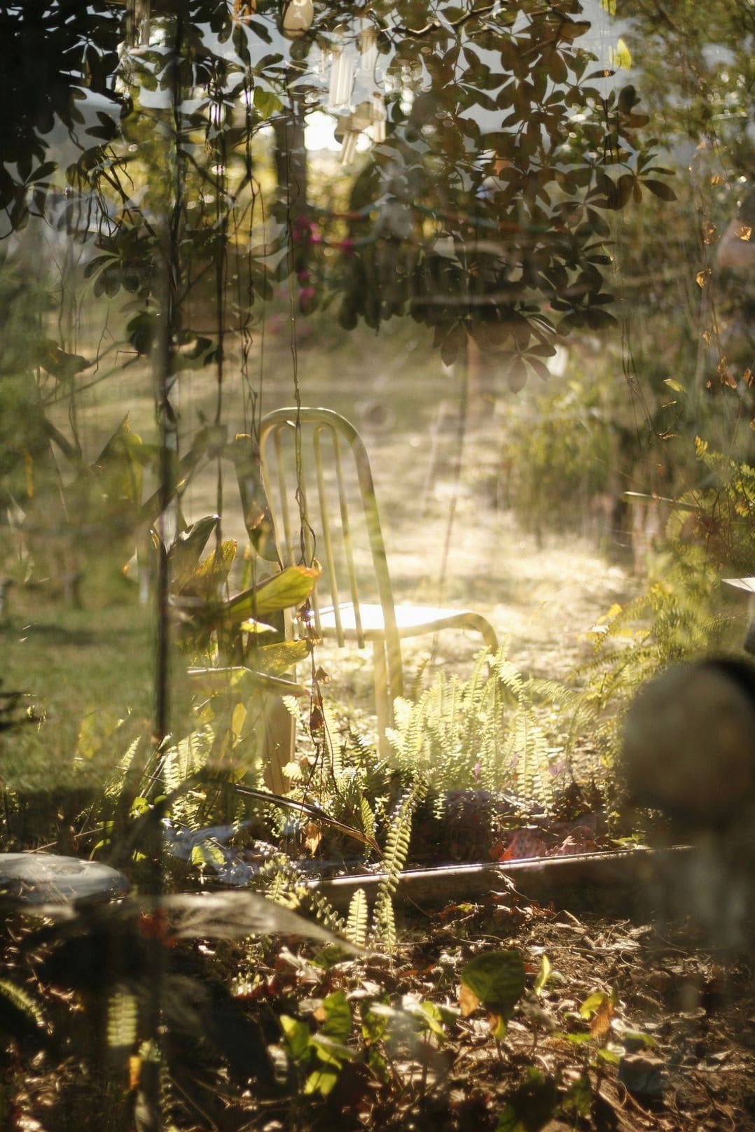 Jardin Harmonie