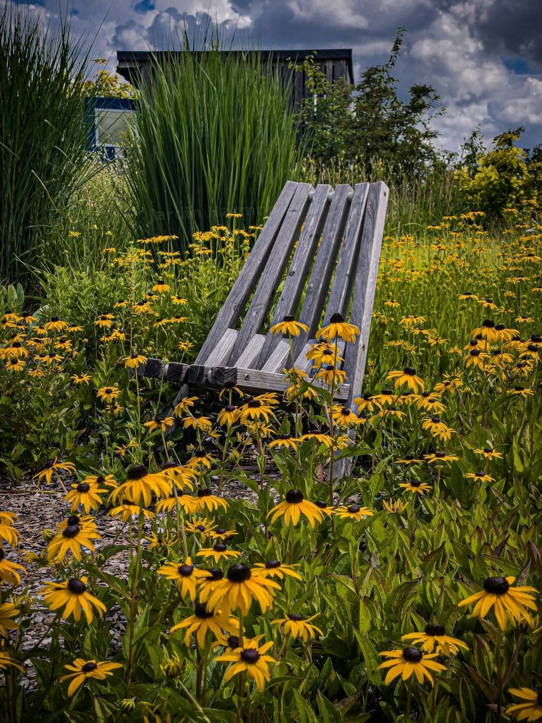 Jardin Harmonie 2