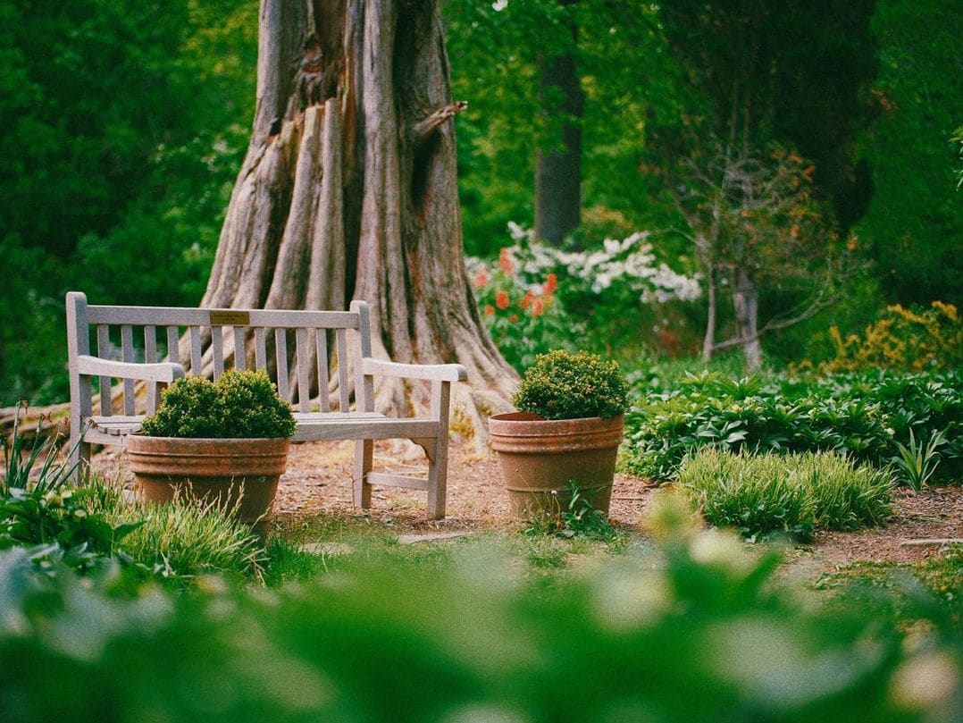 Jardin Harmonie 3
