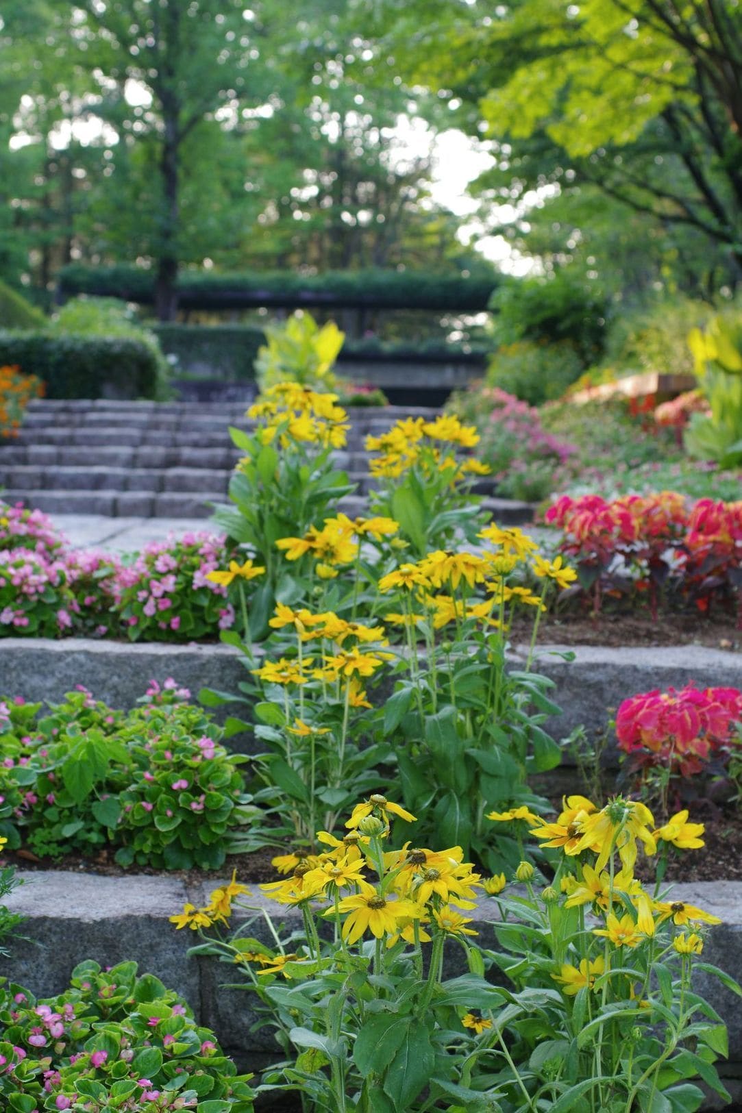 Jardin Harmonie 4