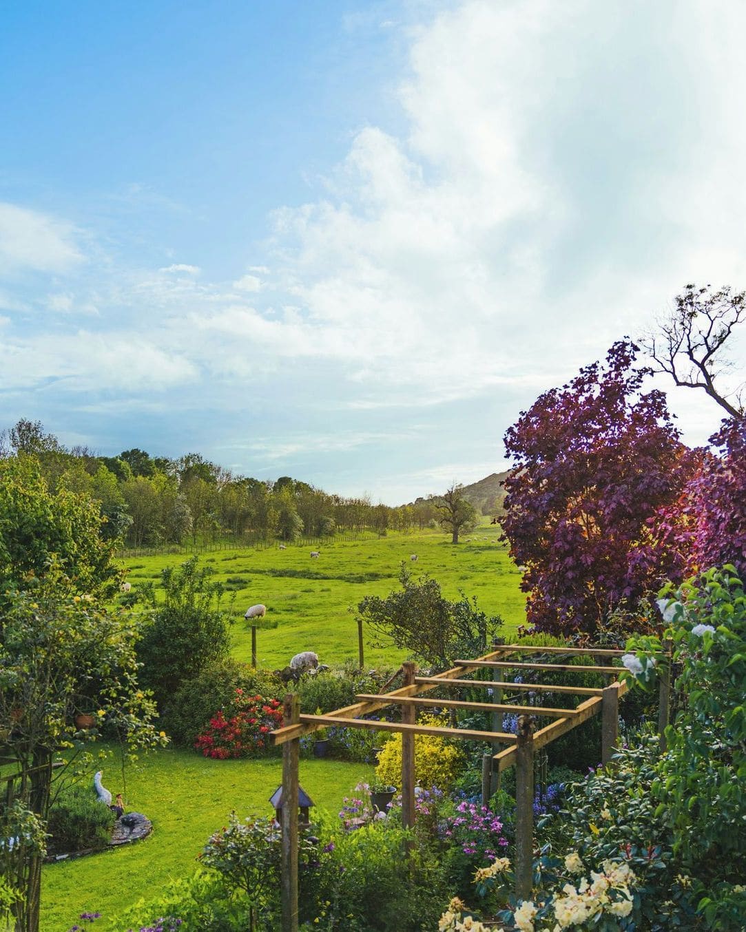 Jardin Harmonie 8