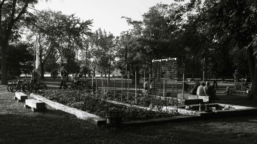 Élagage léger et soin des arbres